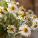 骚在线 l5p3k5tqh7